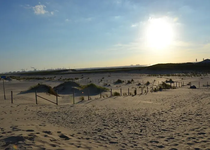 Vlugtenburg * جرافنزانده